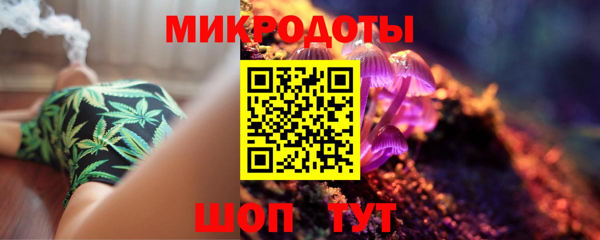 Псилоцибиновые грибы Psilocybe Дзержинск