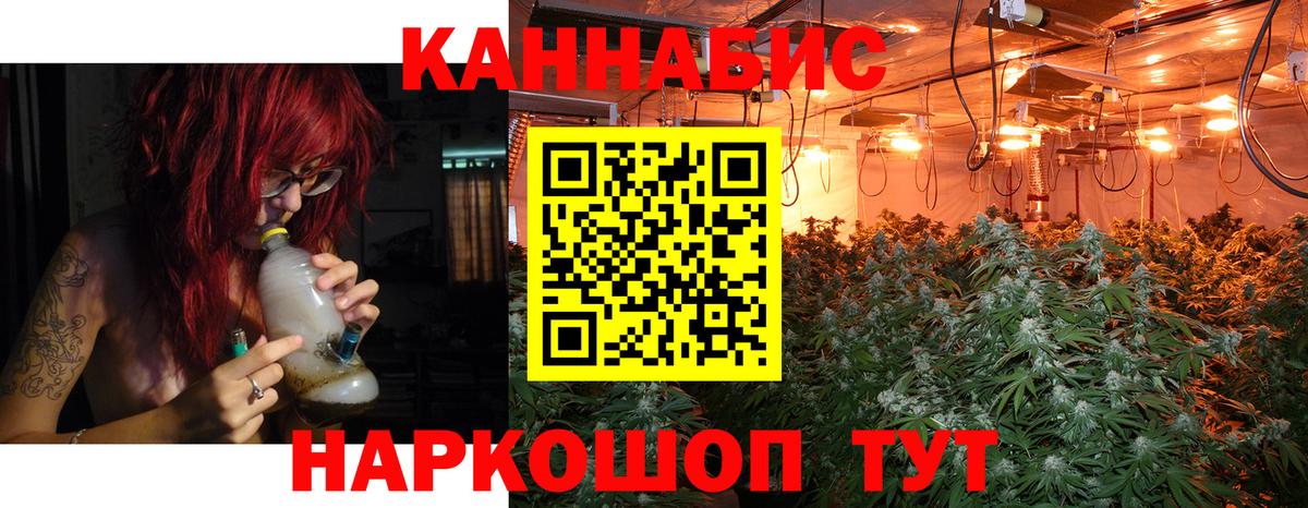 Конопля THC 21%  Бошки Шишки ГИДРОПОН  Дзержинск  Вход с VPN  Конопля OG Kush 